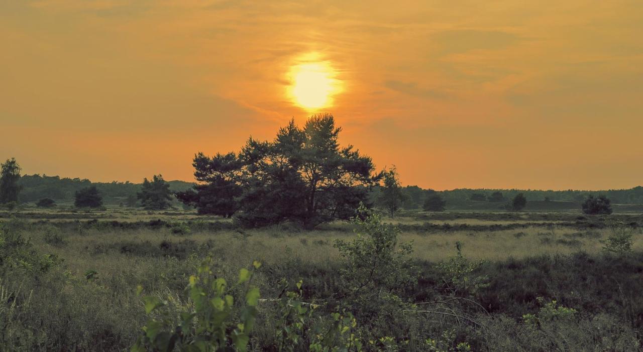 Lodge Koolmees Nunspeet Veluwe المظهر الخارجي الصورة